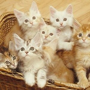 Bundle, Bundle, Bundle!!